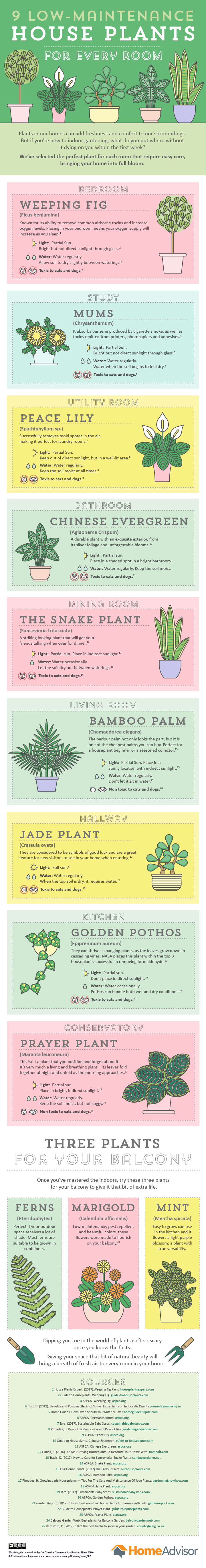 9 Low Maintenance House Plants For Every Room