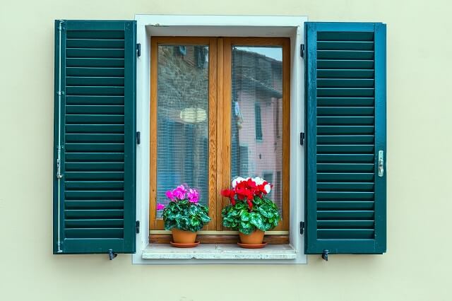 teal shutters against a light green house