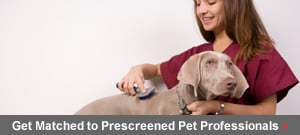 Get matched to prescreened Pets pros