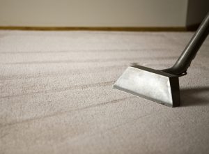 Carpet Cleaning