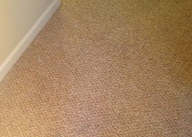 https://www.homeadvisor.com/r/wp-content/uploads/2014/09/carpet.jpg