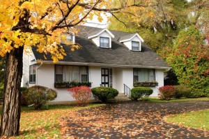 Fall Landscaping