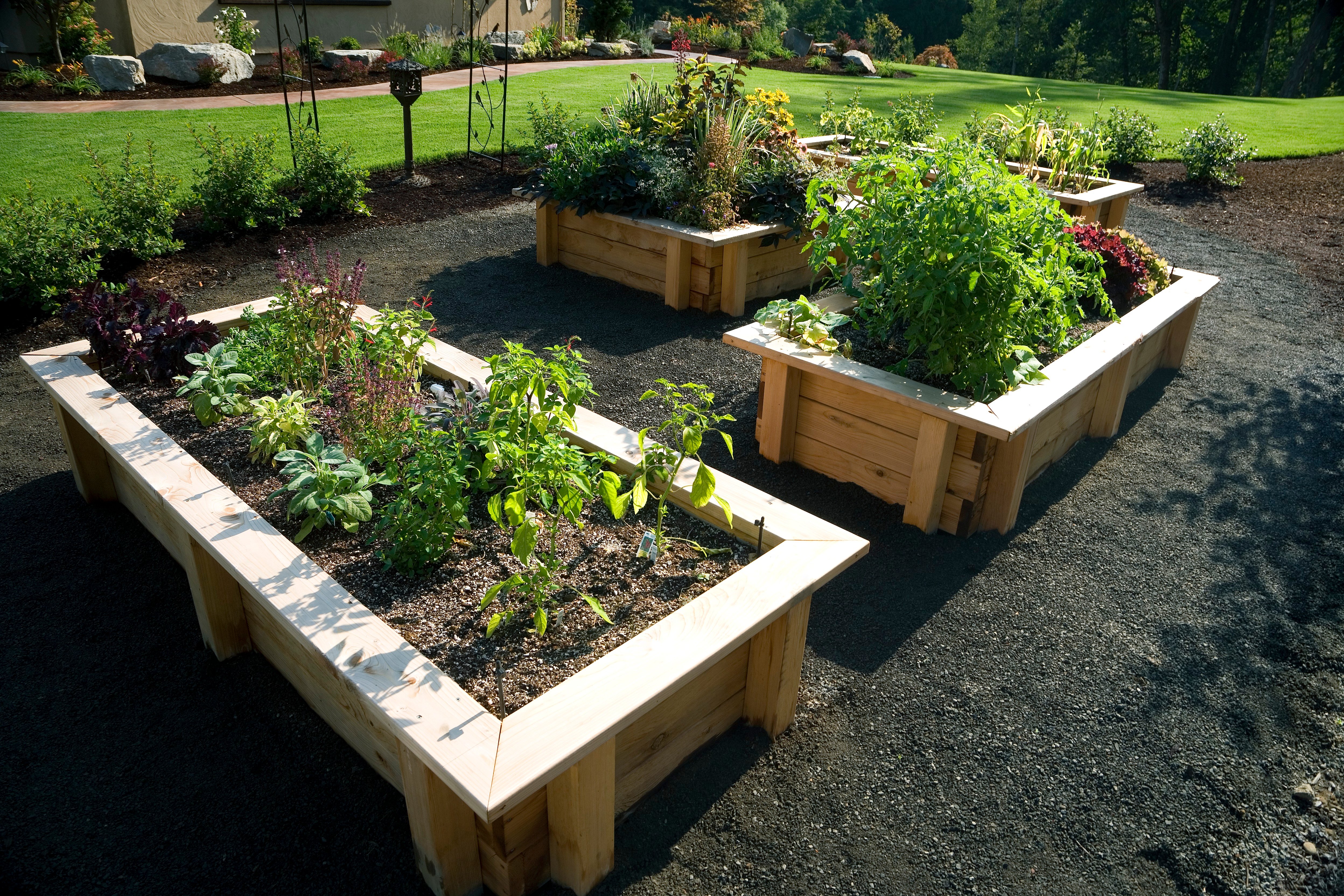 Kids Gardening Tips Ideas Projects At Home Kids Gardening Tips Ideas Projects At Home