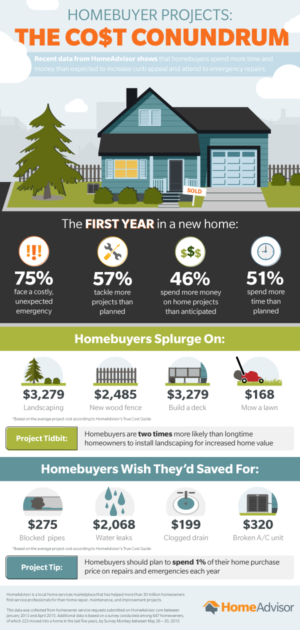 New Homeowner Infographic