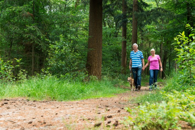 Senior couple walking with dog in nature