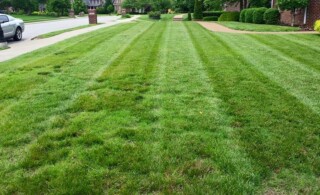 How To Dethatch & Aerate Your Lawn