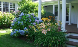 Making Natural Pesticides at Home