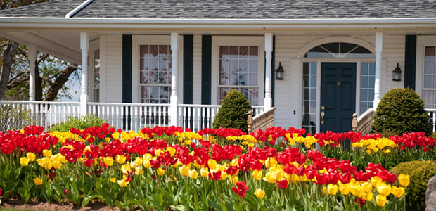 Landscaping For Increased Curb Appeal