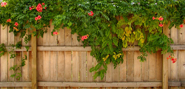 Adding Curb Appeal with New Fencing