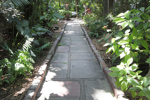 Edging, Lighting and Pathways