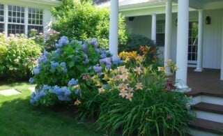 Garden flower bushes