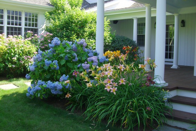 Garden flower bushes