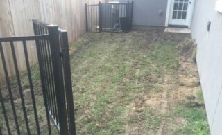 Poorly maintained lawn
