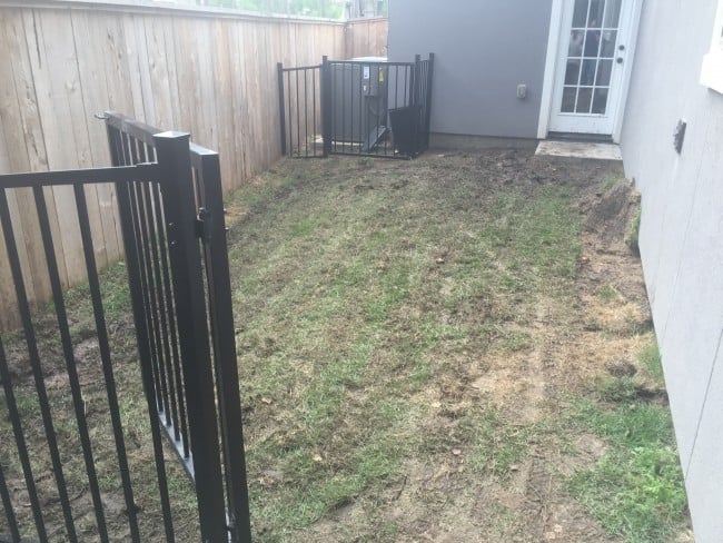 Poorly maintained lawn