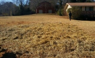 Hay on the ground