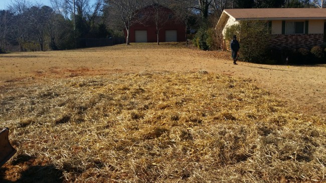 Hay on the ground