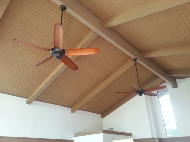 Ceiling fan