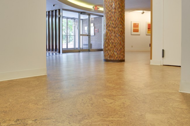 Cork Flooring Floors