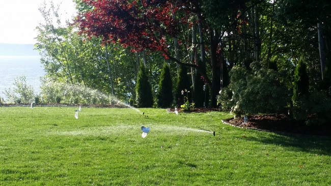 Sprinkler system