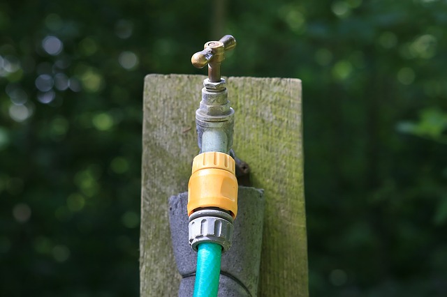 Garden hose & faucet