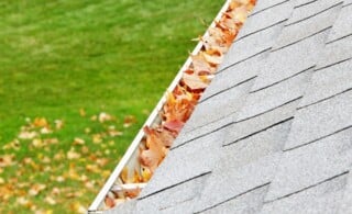 A residential home roof gutter is filled mostly with autumn sugar maple tree leaves. Fallen leaves can also be seen on the ground down below. Copy space.