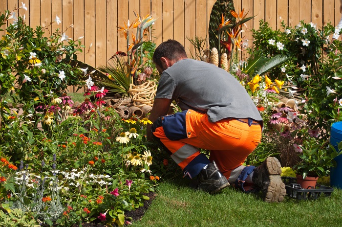 hired gardener digs into flower bed