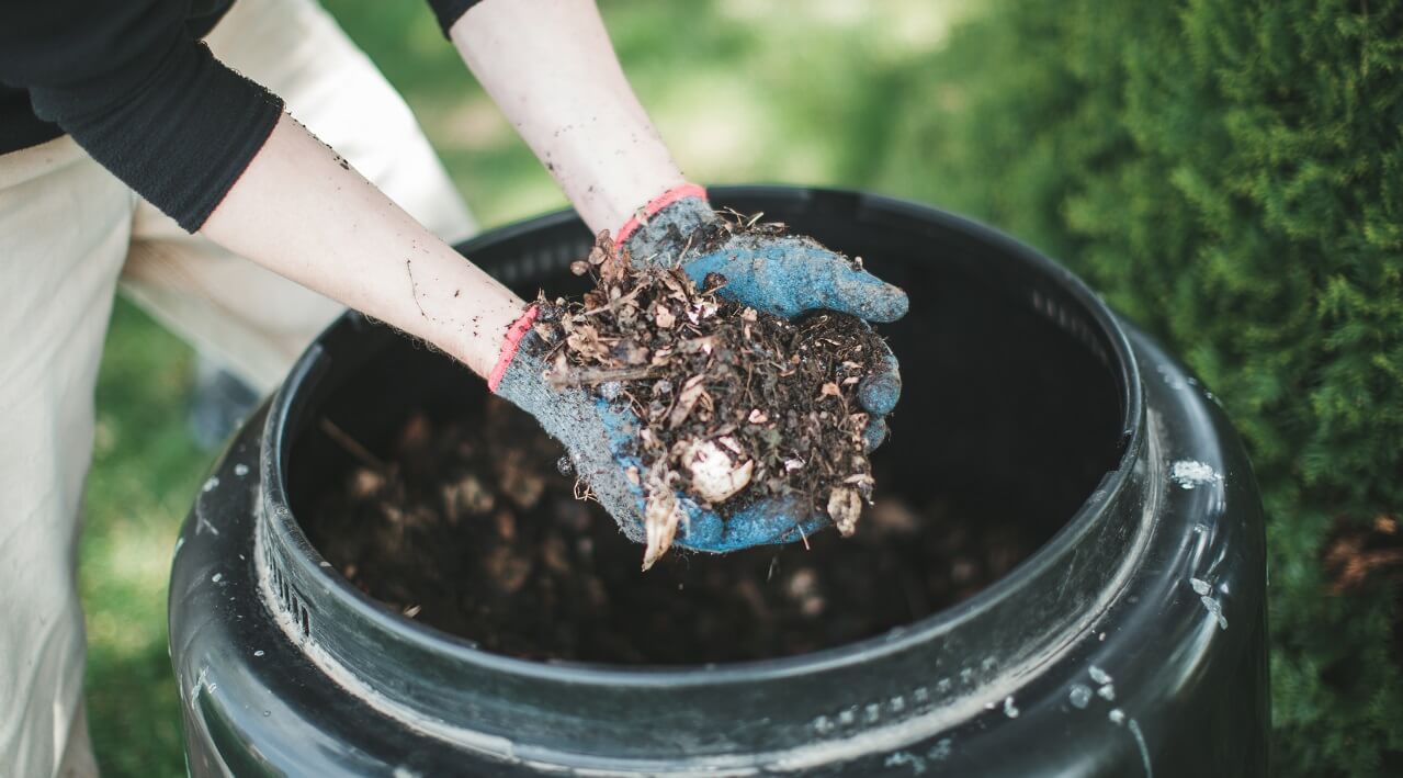 home compost heap