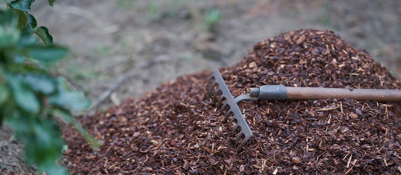 Rake with mulch