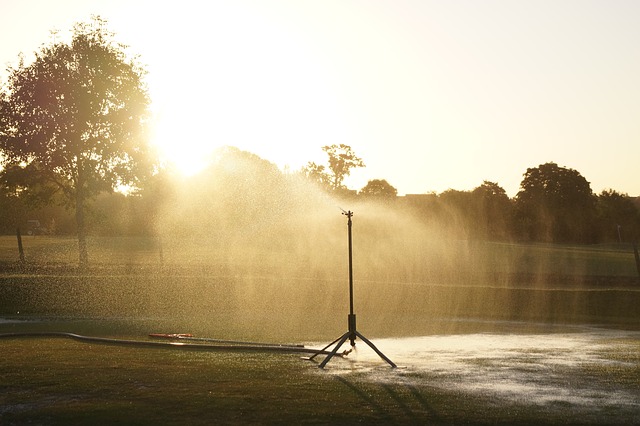 Sprinkler head