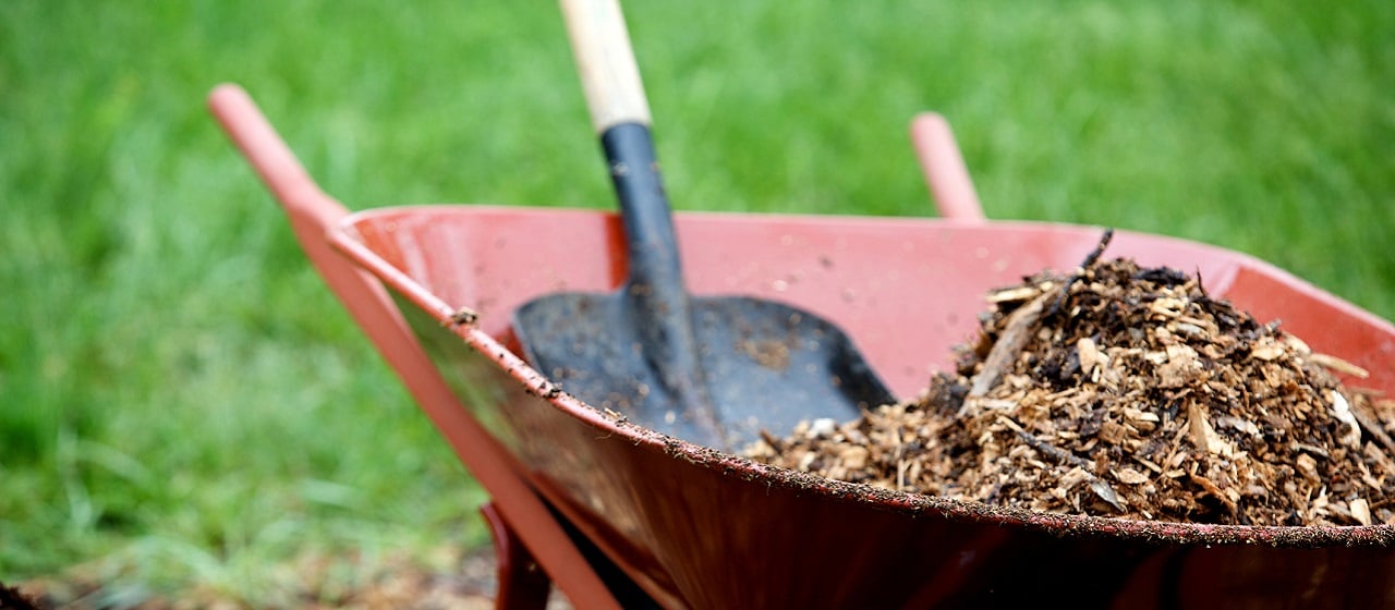 Wheelbarrel with mulch