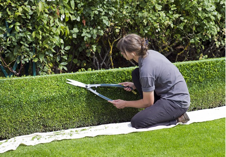Woman trimming hedges