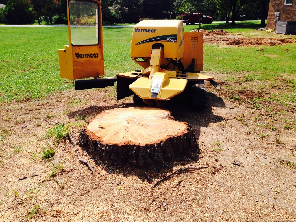 Ways to Remove a Tree Stump