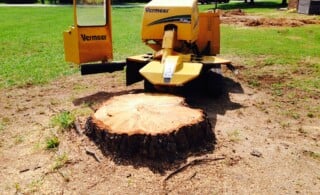 Ways to Remove a Tree Stump