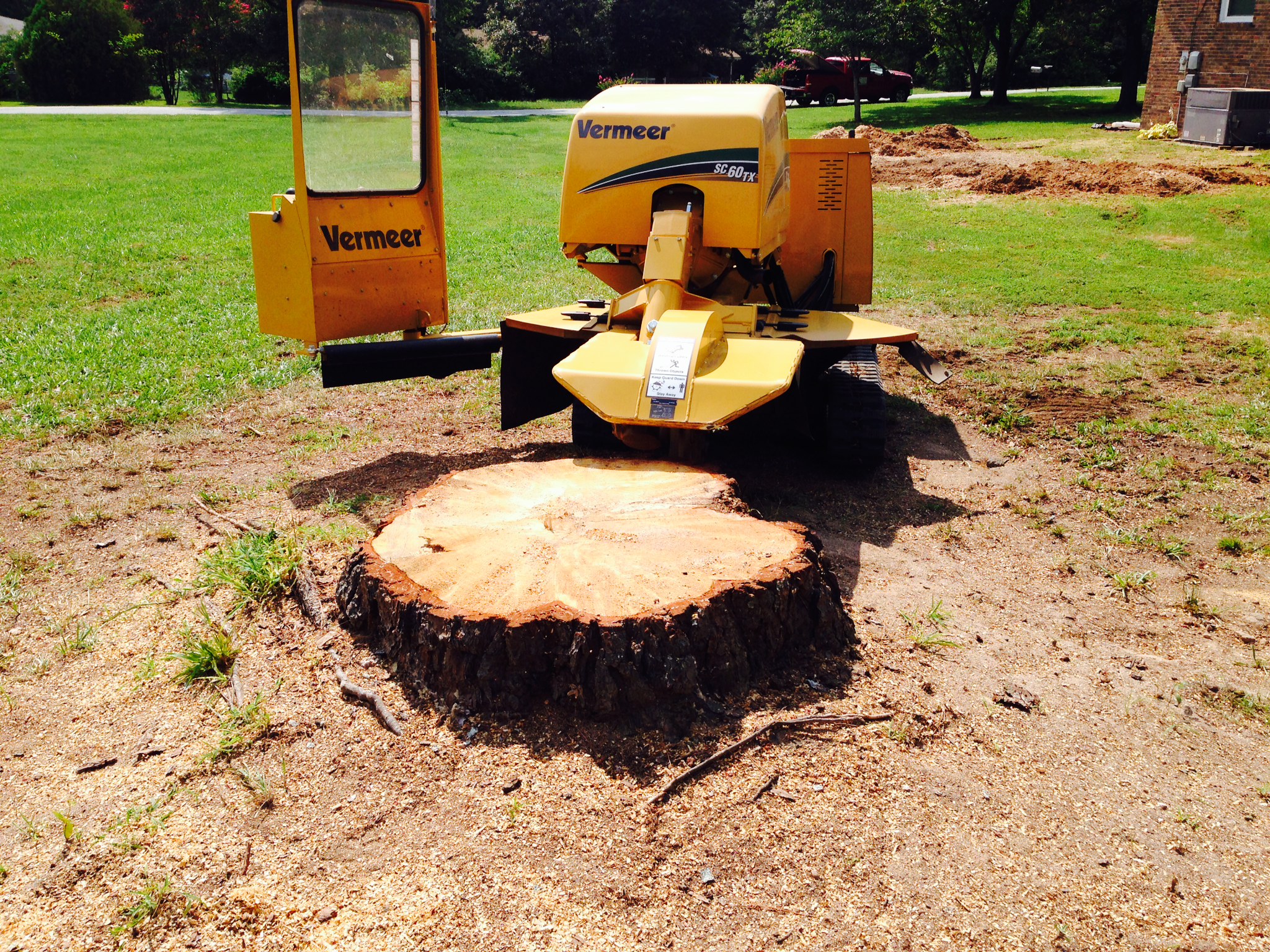 Tree And Stump Removal