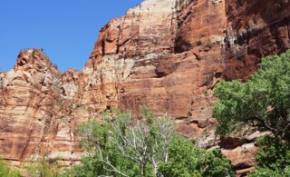 Zions National Park