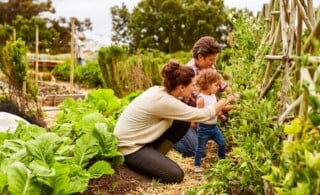 Family working in an eco-friendly garden