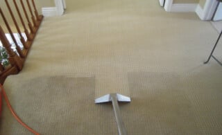 Carpet Being Cleaned