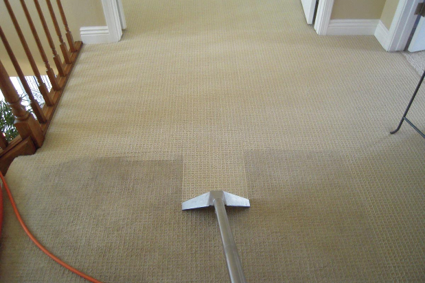 Carpet Being Cleaned