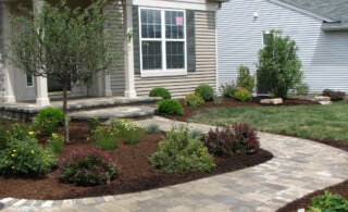 Front Yard With Ornamental Tree