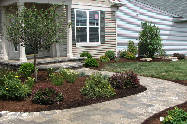 Front Yard With Ornamental Tree