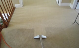 Carpet Cleaning