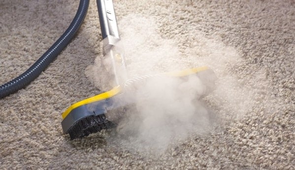 steam cleaner on carpet