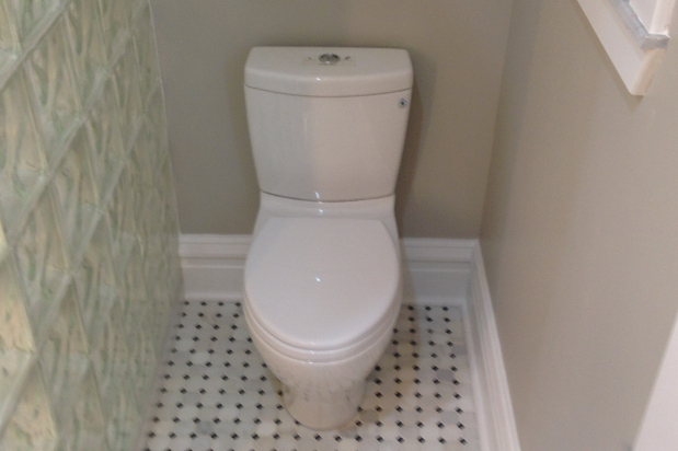 Dual Flush Toilet