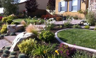 Landscape Design Ideas