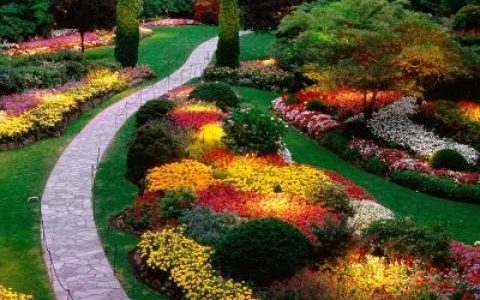 Find And Hire A Gardener What Does A Professional Gardener Do
