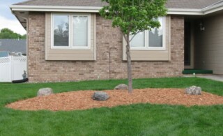 Types of Mulch