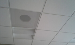 Acoustic Tile Ceiling