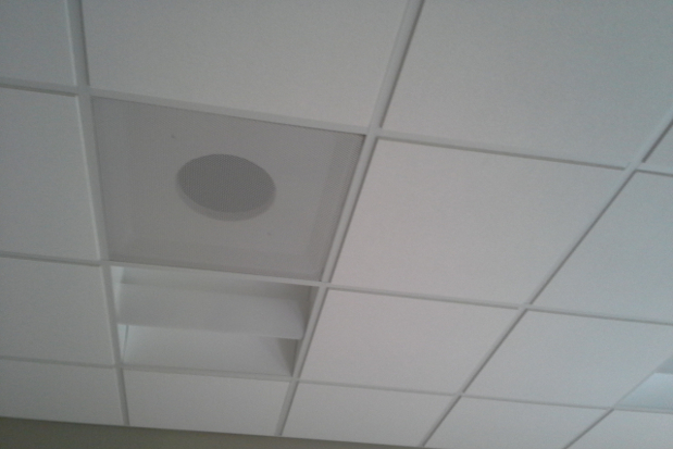 Acoustic Tile Ceiling