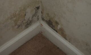 basement mildew from moisture, humidity