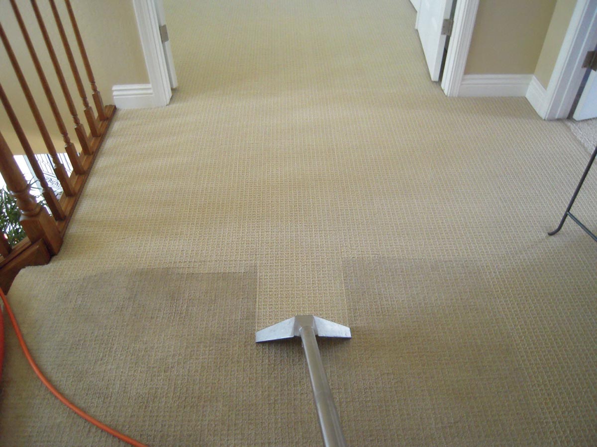 How Hot Water Extraction Works For Your Carpet Cleaning Job